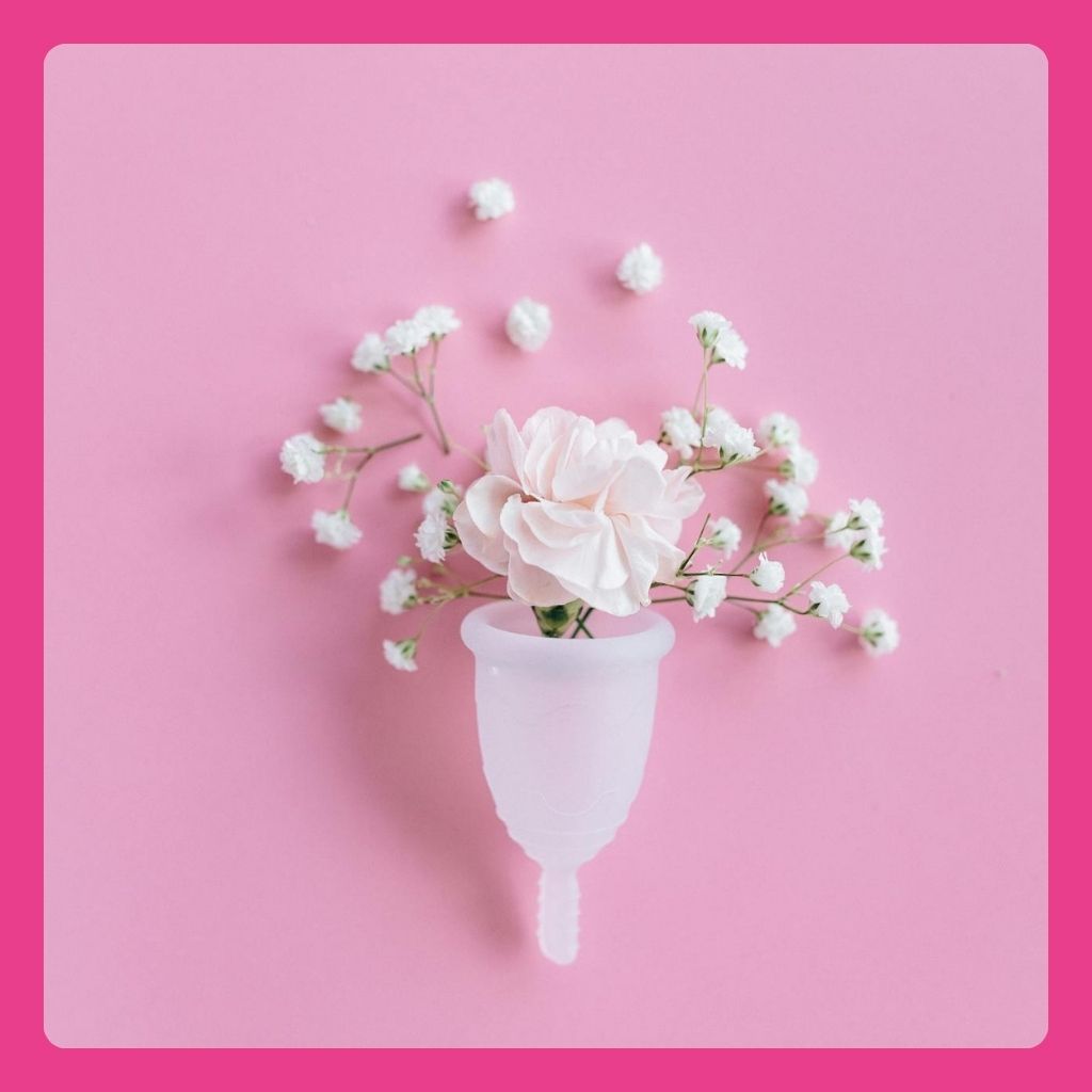 jinekolojikat - Op. Dr. Talha Ayvaz